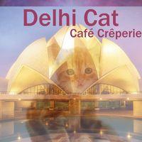 Dehli cat